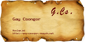Gay Csongor névjegykártya